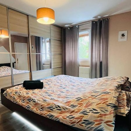 Appartement Proche Centre Ville Avec Parking Gratuit 안시 외부 사진