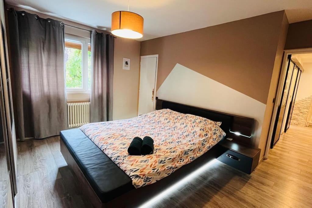 Appartement Proche Centre Ville Avec Parking Gratuit 안시 외부 사진