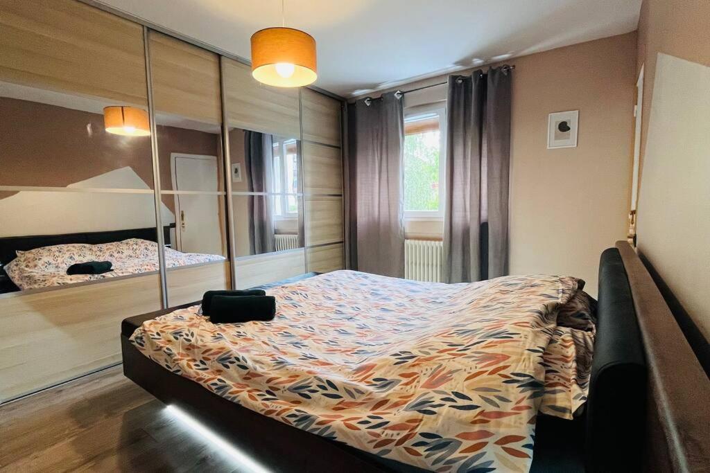 Appartement Proche Centre Ville Avec Parking Gratuit 안시 외부 사진